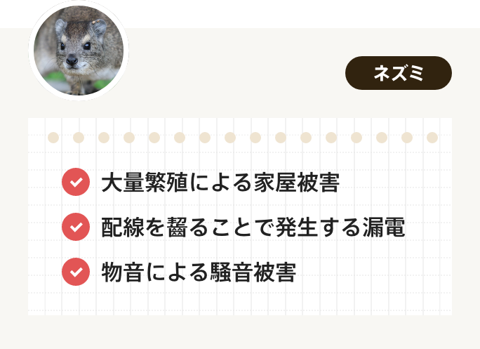 ネズミがもたらす害獣被害