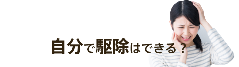 自分で害獣駆除はできる？