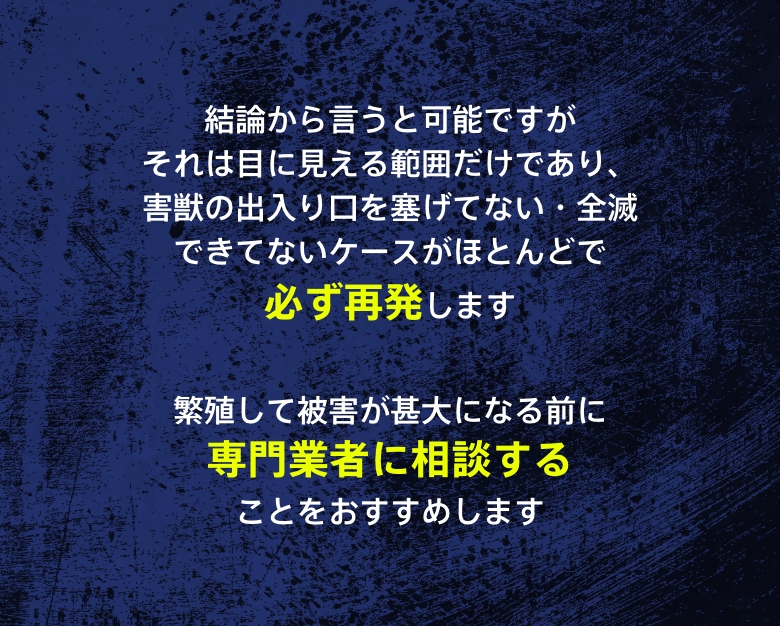 結論から言うと可能ですが、害獣の侵入経路を塞ぐ作業は害獣駆除専門業社でないと難しいため必ず再発します